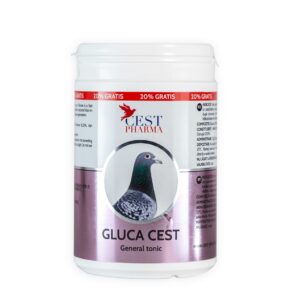 Gluca cest - Conține glucoză și vitamina C un recuperator bun după concursuri