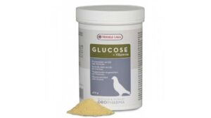 Glucose Vitamine - refacerea după un zbor dificil pentru porumbei