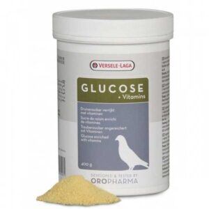 Glucose Vitamine - refacerea după un zbor dificil pentru porumbei