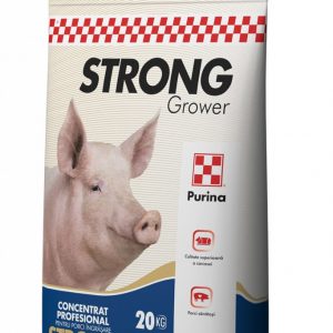 PURINA STRONG